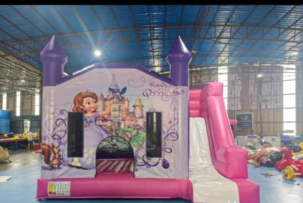 Bouncing Castles (Medium, Giant with Slides) - Image 4